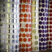  - guadalajara,zapopan