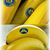  - vestimos de etiqueta su producto,etiquetas para jamón y embutidos