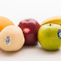  - zapopan, proveedor etiquetas zapopan