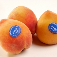  - proveedor etiquetas guadalajara, etiquetas tlaquepaque